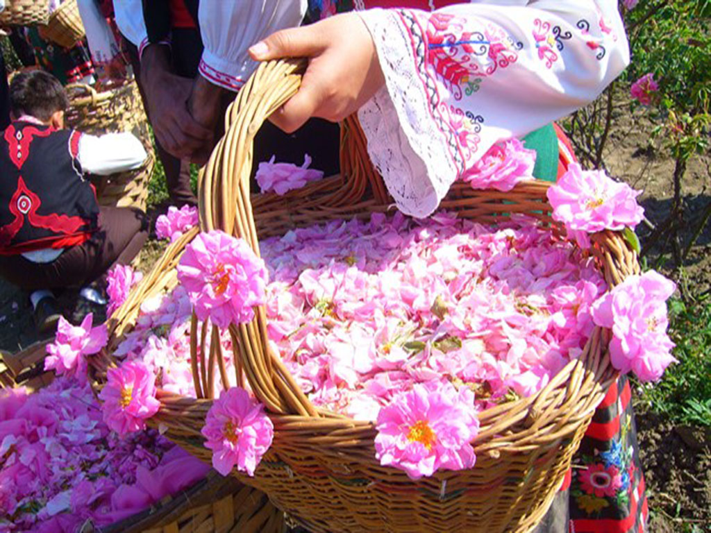 Rose water festival, Kashan, Niasar