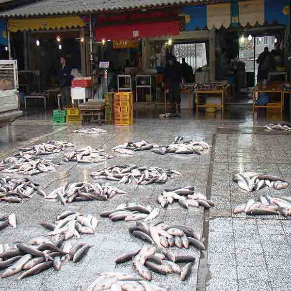 Traditional Fish Bazar